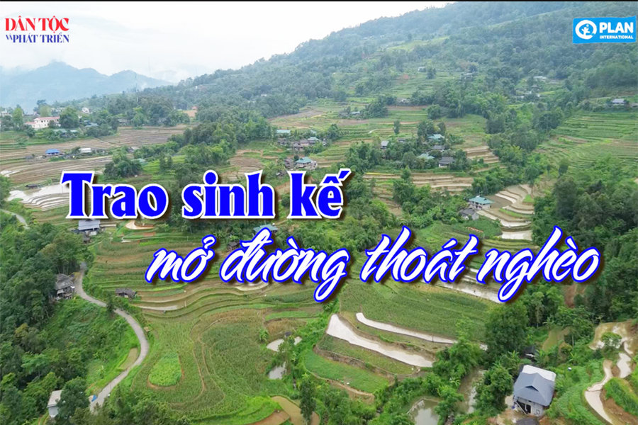 [Video] Trao sinh kế mở đường thoát nghèo