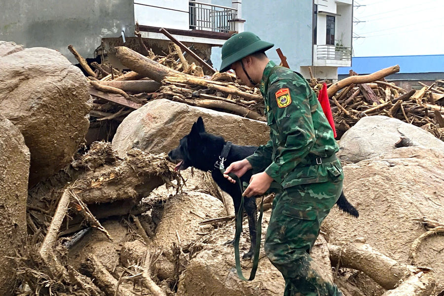 Lai Châu: Bộ đội Biên phòng dùng chó nghiệp vụ tìm kiếm nạn nhân mất tích