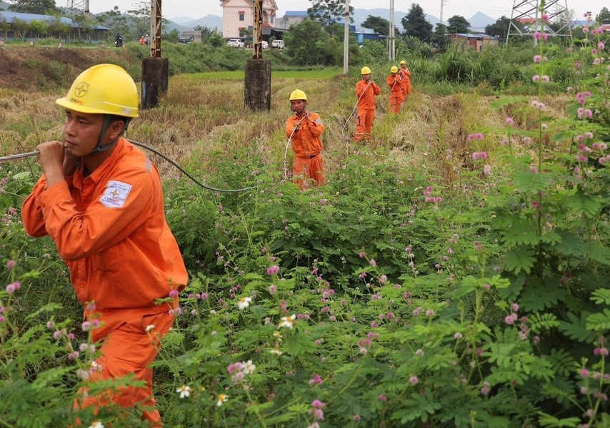Nhìn trúng điểm nghẽn đặc thù để thực hiện chính sách dân tộc: Điện lưới đã về bản, sinh kế vẫn chưa sáng