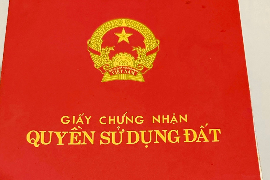 Vi phạm đất đai trước 1/8/2024 có thể được cấp sổ đỏ, sau mốc này xử lý nghiêm