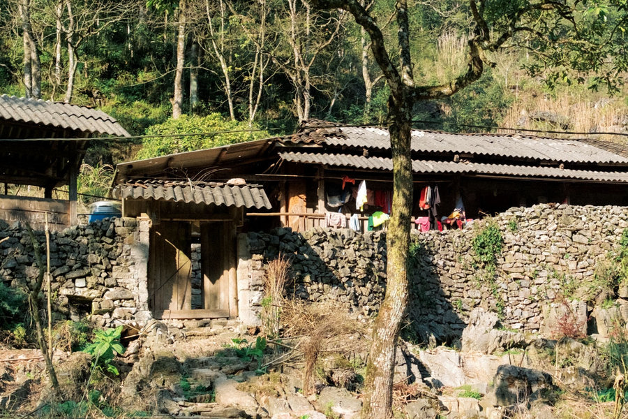 Ngôi làng biệt lập giữa rừng già ở Tuyên Quang hút khách vì vẻ đẹp nguyên sơ
