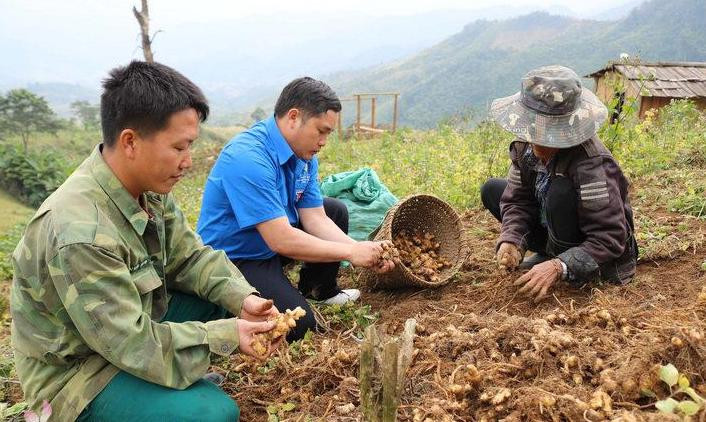 Nghệ An: Trao "cần câu" để người nghèo tự vươn lên