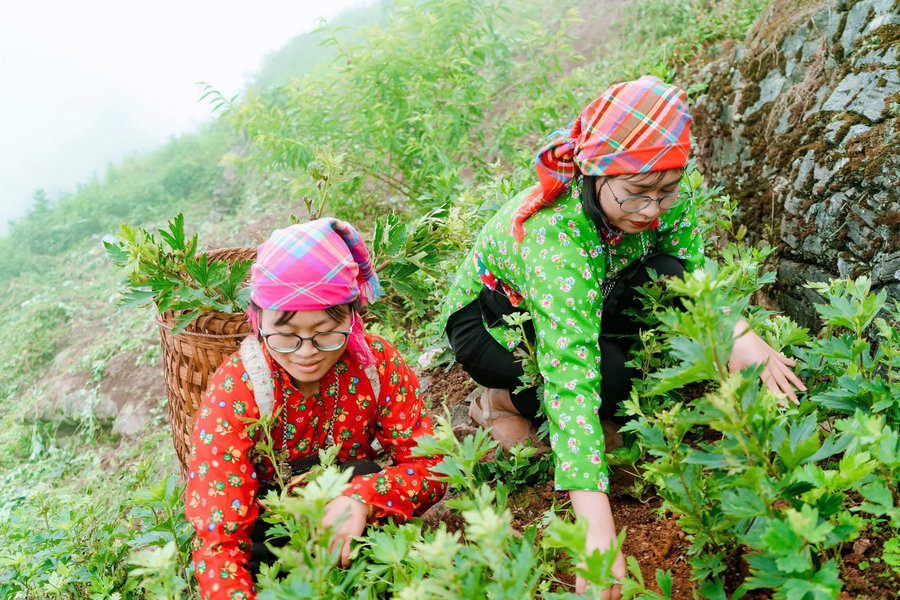 Giữ đất, giữ rừng, bảo đảm sinh kế cho đồng bào