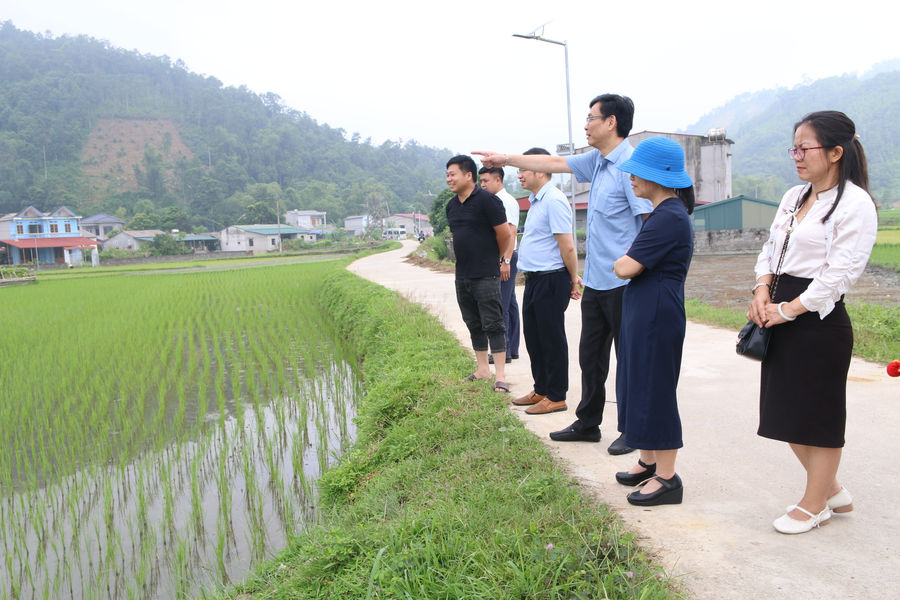 Nhìn trúng điểm nghẽn đặc thù để thực hiện chính sách dân tộc: Sinh kế là thước đo cuối cùng