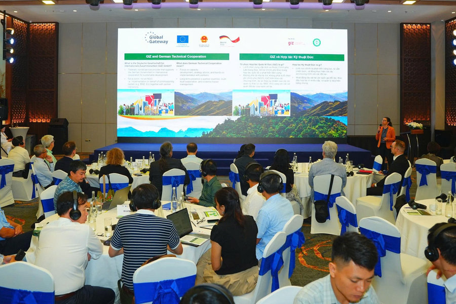 Thúc đẩy lâm nghiệp xanh, thích ứng với biến đổi khí hậu