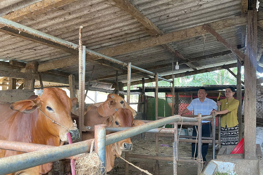 Thay đổi tư duy, đồng bào vùng cao Phước Năng vươn lên làm giàu