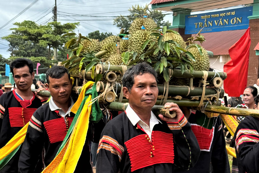 Độc đáo hai chú voi dẫn đoàn rước “Nữ hoàng Sầu riêng Ea Knuếc”