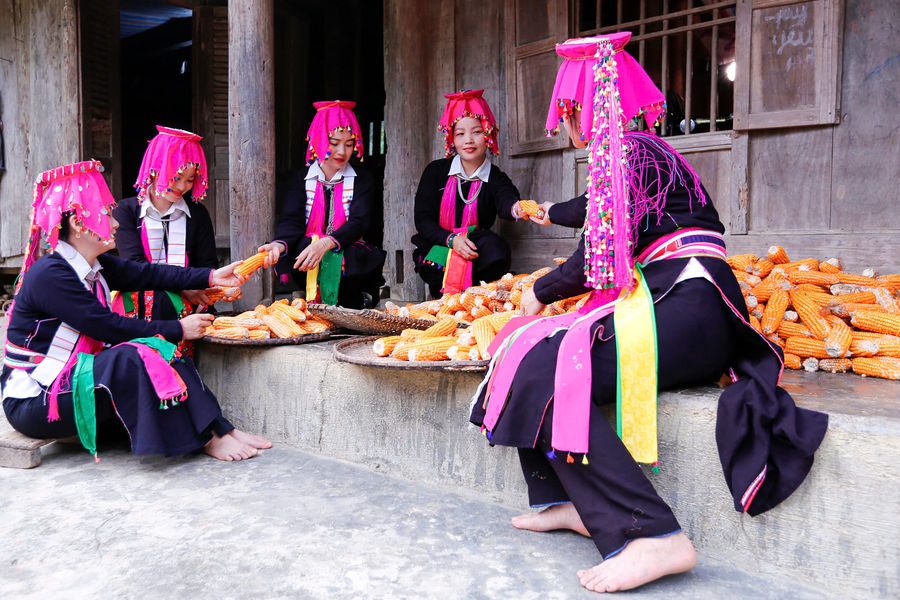 Sắc màu Dao Tuyển giữa đời thường