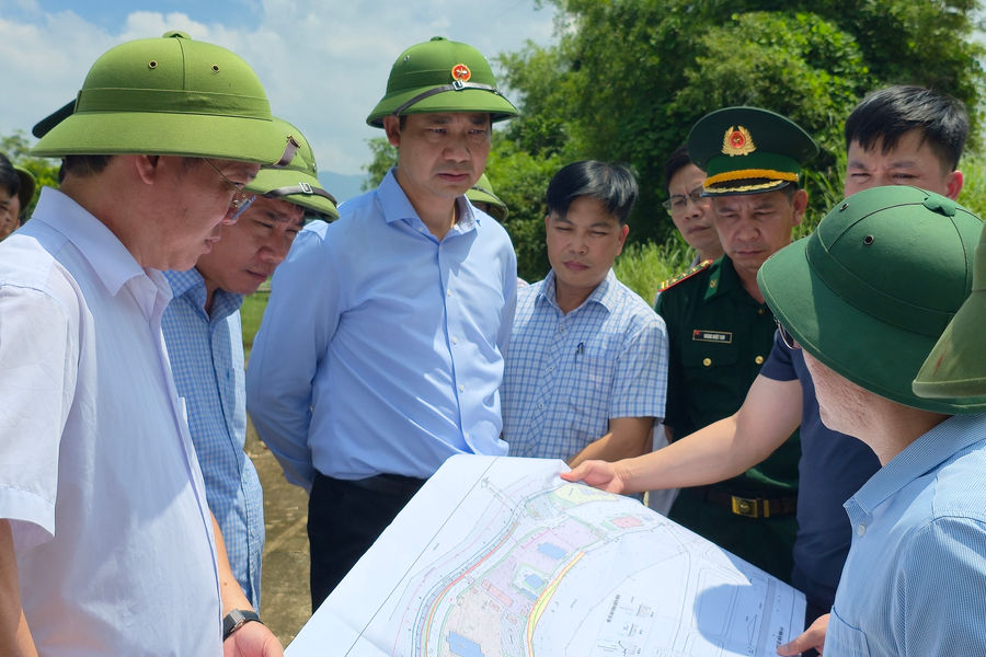 Kè sông biên giới Quảng Ninh sẽ được phủ xanh bằng tre